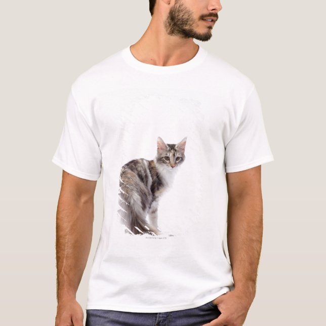 Camiseta Gato de Coon de Maine (Anverso)