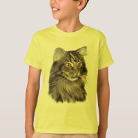 Gato de Coon negro de Maine del Tabby