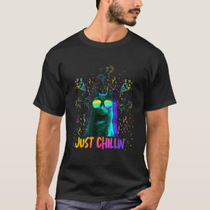 Camiseta Gato de fiesta Dj Mixer Animal de fiesta Gatito