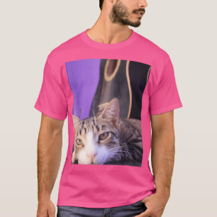Camiseta Gato De Foto De Guay Con Guitarra Para Gatos Con F