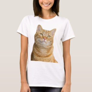 Camiseta Gato de gafas grandes ojos verdes blanco