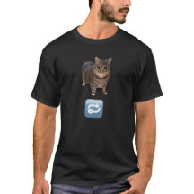 Gato de giro infinito