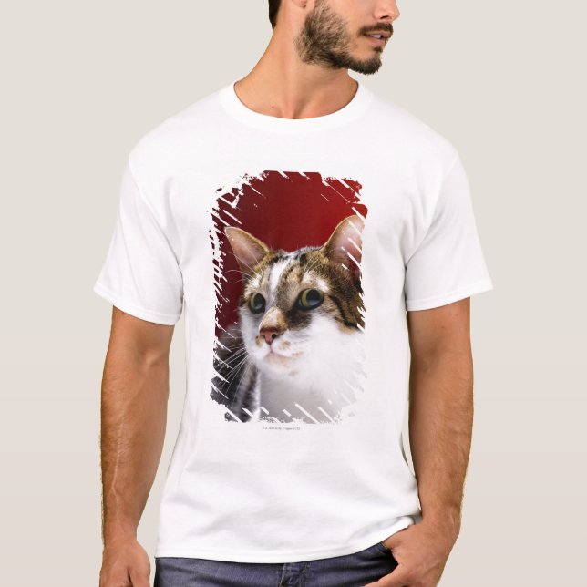 Camiseta Gato de la Isla de Man (Anverso)