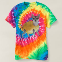 Gato de la patata