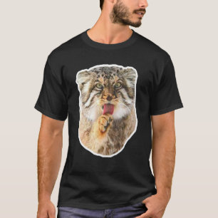 Camiseta Gato de Pallas
