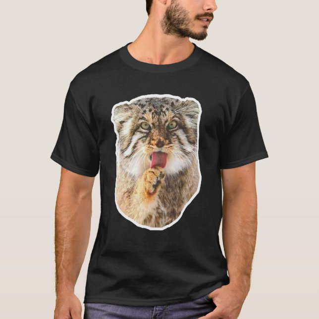 Camiseta Gato de Pallas (Anverso)