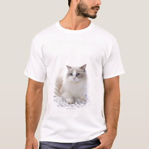 Camiseta Gato de Ragdoll en el teclado de ordenador