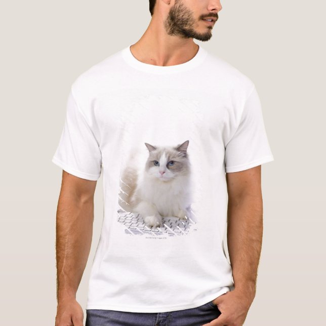 Camiseta Gato de Ragdoll en el teclado de ordenador (Anverso)