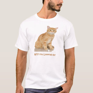 Camiseta Gato de Tabby anaranjado
