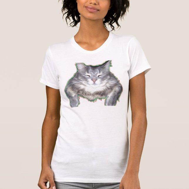 Camiseta gato del color (Anverso)