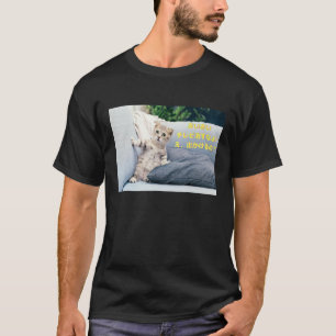 Camiseta Gato descarado pero un poco sano lindo