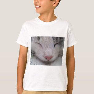 Camiseta Gato durmiente