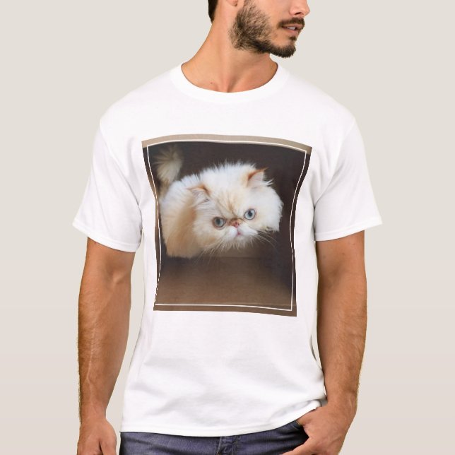 Camiseta Gato en una caja (Anverso)