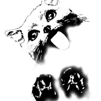 Camiseta Gato gracioso