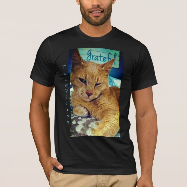 Camiseta Gato grato (Anverso)