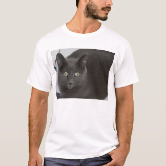 Camiseta Gato gris con los ojos verdes imponentes