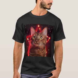Camiseta Gato habanero marrón con fondo estrellado