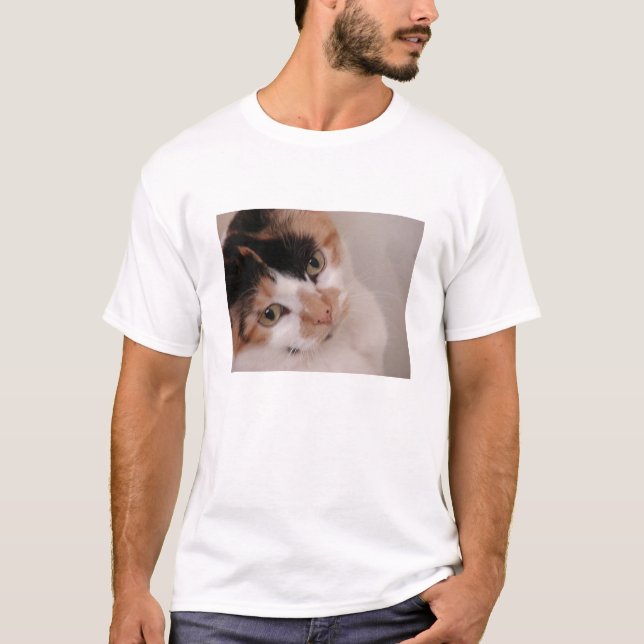 Camiseta Gato Hermosura Calico (Anverso)