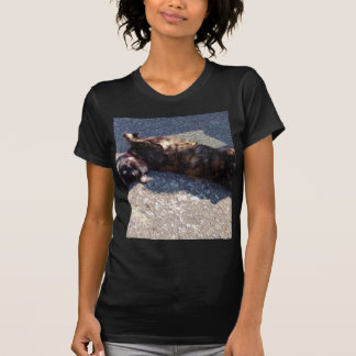 Camiseta Gato juguetón