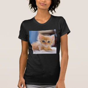 Camiseta Gato lindo con los ojos azules