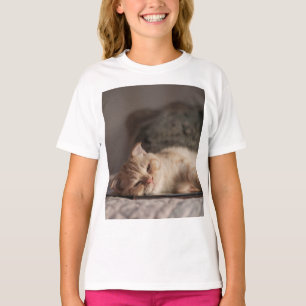 Camiseta Gato, Mascota, Gatito