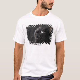 Camiseta Gato negro contra el fondo negro, primer
