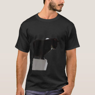 Camiseta Gato negro meme gatito ingenioso
