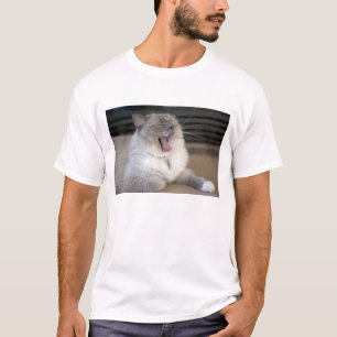 Camiseta gato Neva Masquerade bostezando
