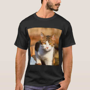Camiseta Gato observándote 11
