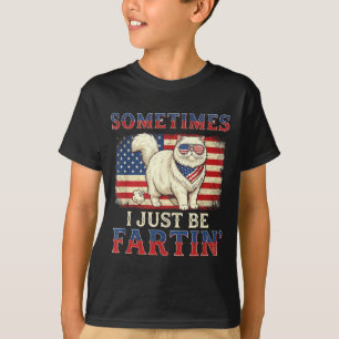 Camiseta Gato que se tira pedos divertido bandera americana