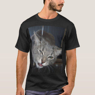 Camiseta Gato sediento bebiendo de la llave de la cocina.
