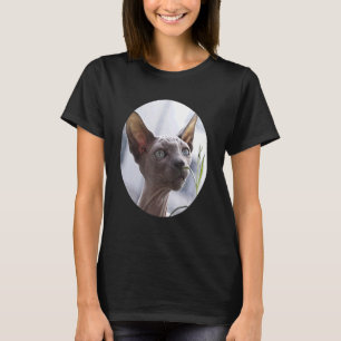 Camiseta Gato sin pelo Sphynx