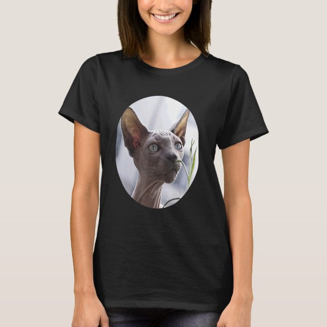 Camiseta Gato sin pelo Sphynx (Anverso)