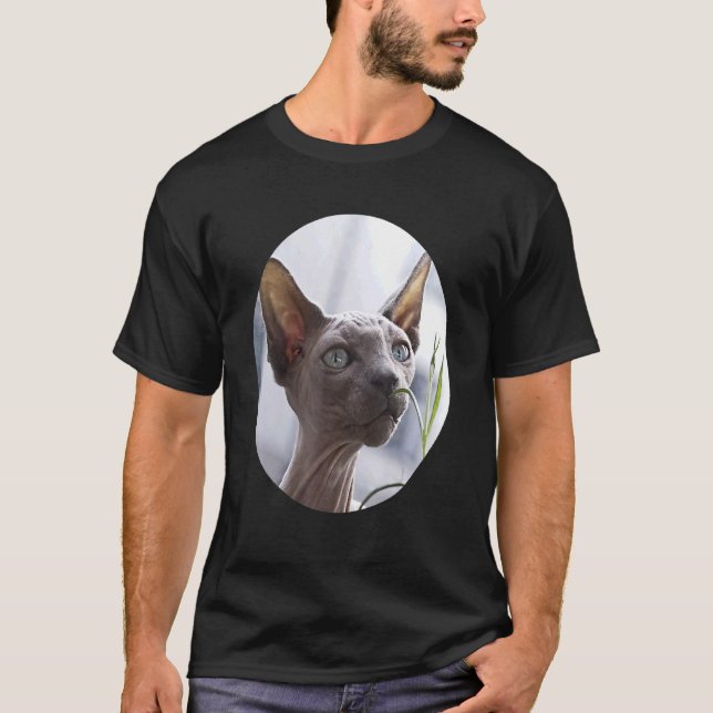 Camiseta Gato sin pelo Sphynx (Anverso)