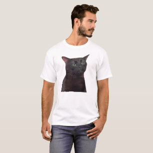 Camiseta Gato zumbido, gato negro, meme zumbado