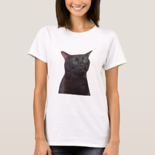 Camiseta Gato zumbido, gato negro, meme zumbado