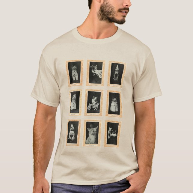 Camiseta Gatos (Anverso)