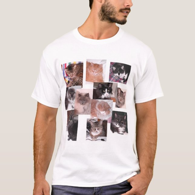 Camiseta Gatos (Anverso)
