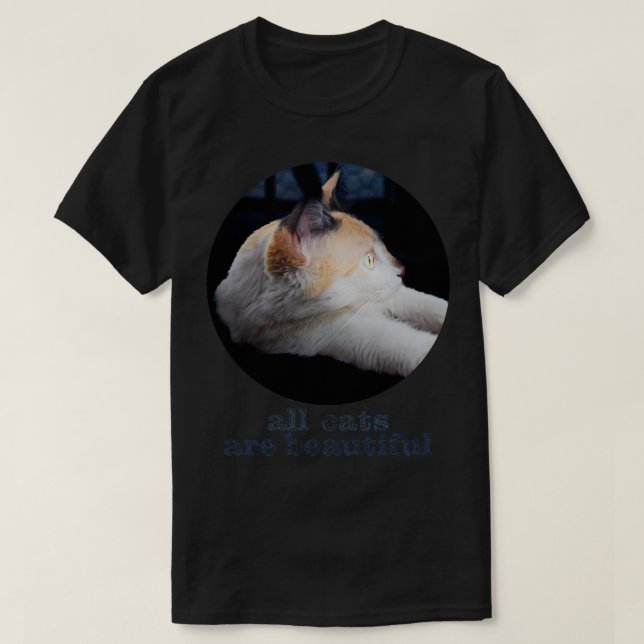 Camiseta gatos 8 (Diseño del anverso)