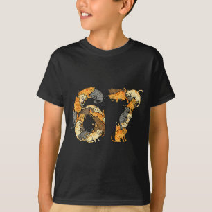 Camiseta Gatos atigrados divertidos 6 7 Meme Seis Siete Ama