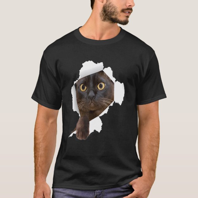 Camiseta Gatos birmanos rotan tela Kitten (Anverso)