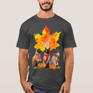 Camiseta Gatos Caen Árbol De Hojas De Otoño Amantes Gracios