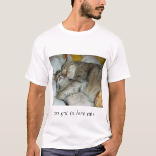 Camiseta gatos de abrazo