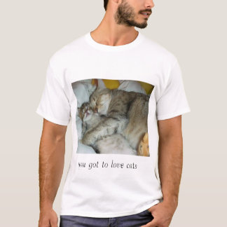 Camiseta gatos de abrazo