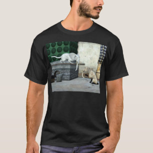 Camiseta Gatos elefantes adorables