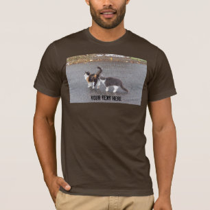 Camiseta Gatos frescos en el camino