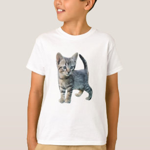Camiseta Gatos Gatos Gatos Gatitos Animales Cutos