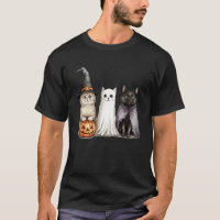 Gatos Lindos con Disfraz de Bruja Fantasma Vampiro