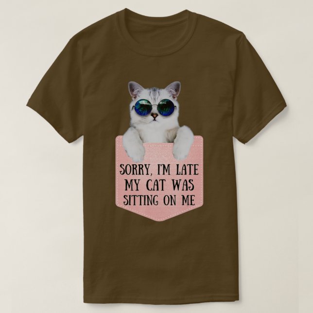 Camiseta Gatos Retro 90 Lo siento, tarde mi gato estaba sen (Diseño del anverso)