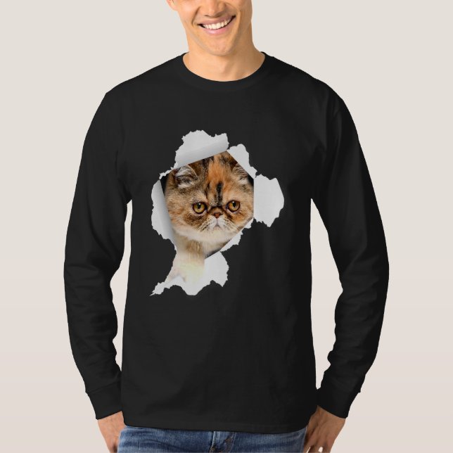 Camiseta Gatos Shorthair Rasaron Ropa Kitten 1 (Anverso)
